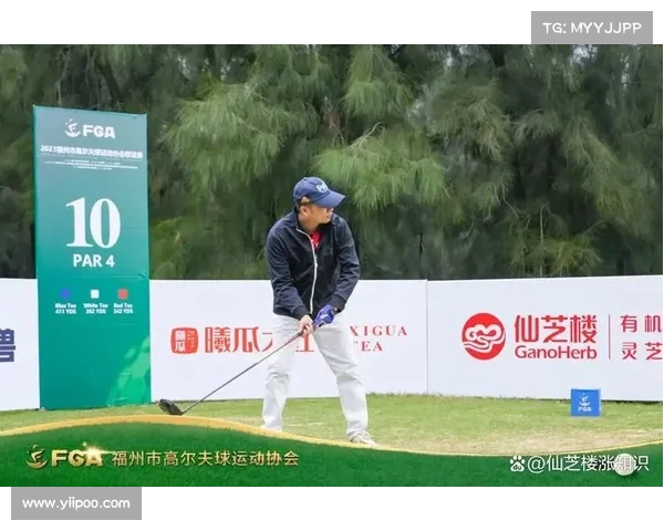 高尔夫社交:打造优雅精致的运动圈层与人脉拓展平台 高尔夫社交:打造优雅精致的运动圈层与人脉拓展平台