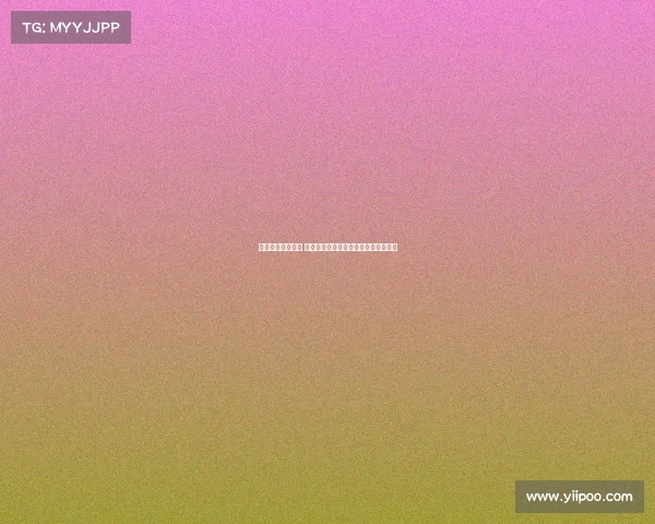 马术比赛精彩纷呈 骑士与骏马共谱速度与激情的完美篇章